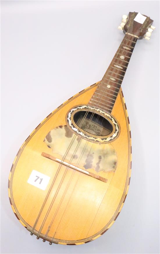 Neopolitian rosewood mandolin